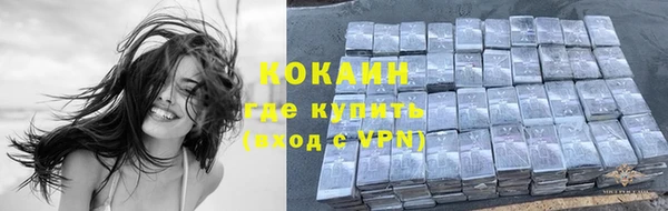 мяу мяу мука Инсар