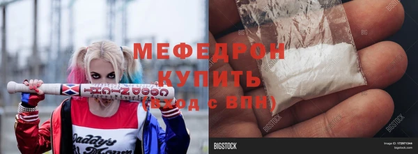 индика Инта