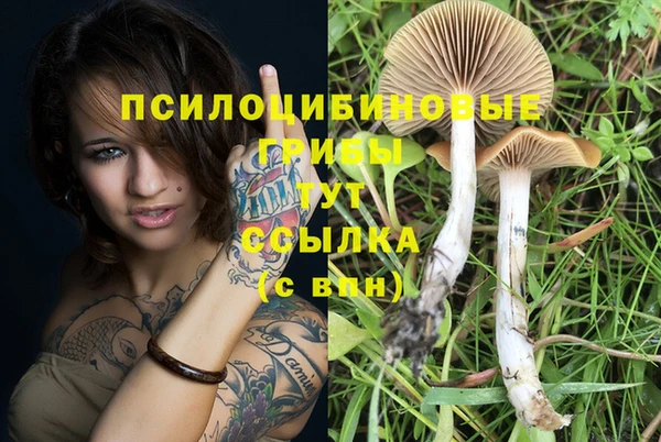 кокаин премиум Верхний Тагил